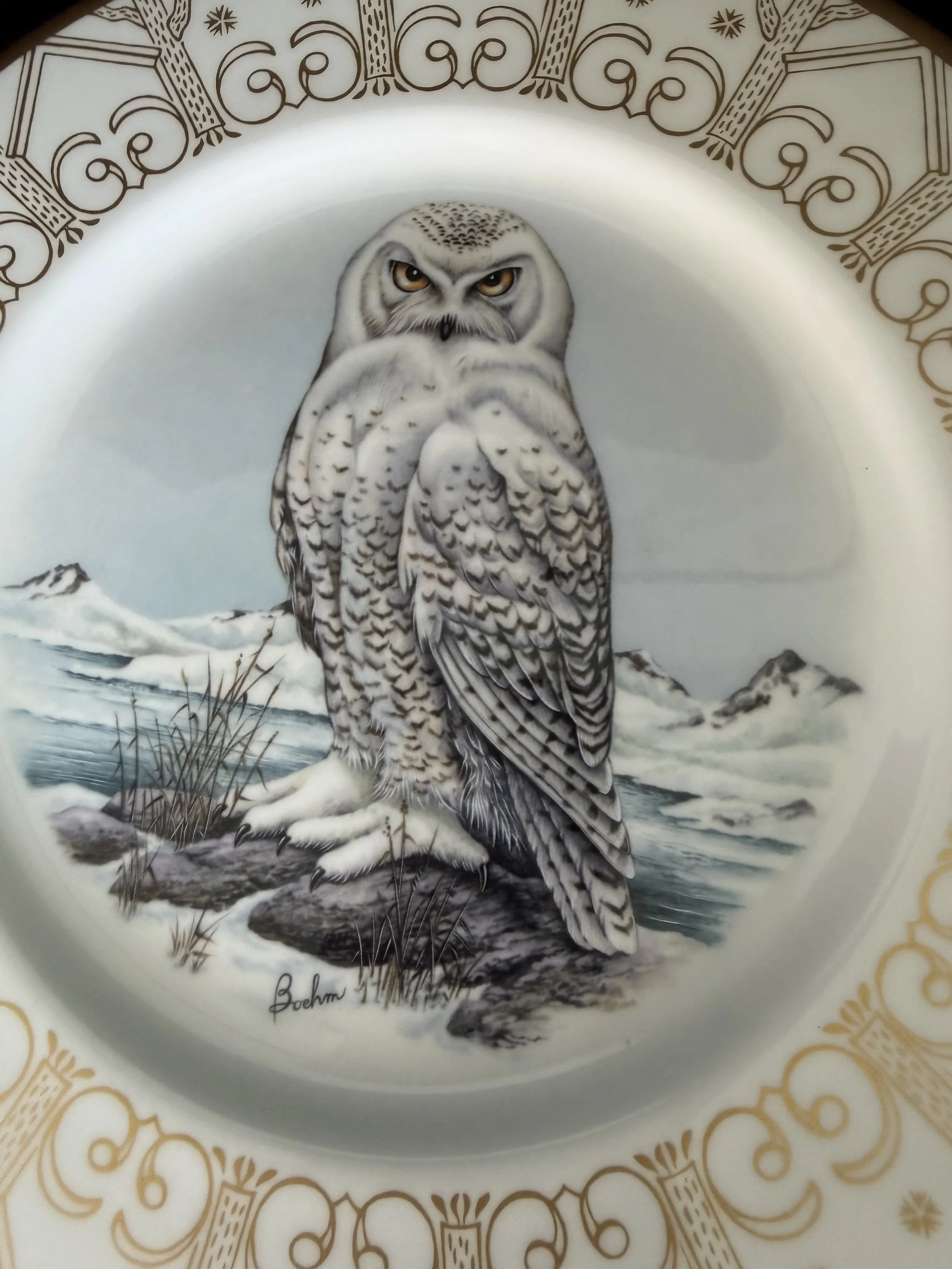 Elegant fine china sets | Lenox, Wedgwood, Spode and more — Fine